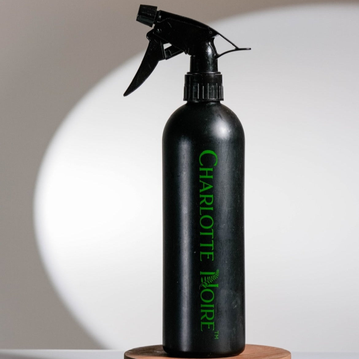 Bouteille de pulvérisation BIG CN